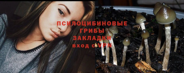 ПСИЛОЦИБИНОВЫЕ ГРИБЫ Абинск