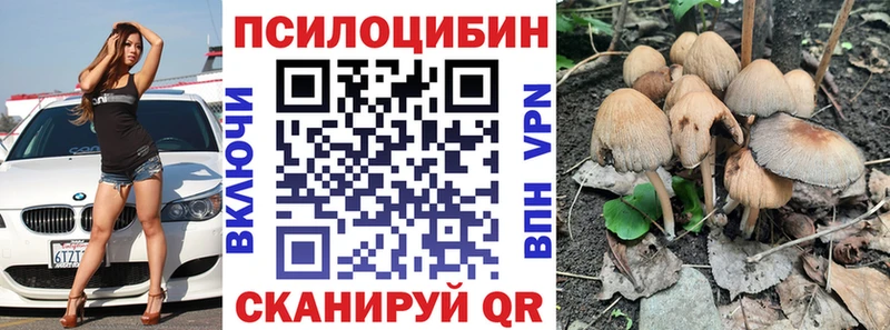 магазин продажи   Домодедово  Галлюциногенные грибы Psilocybine cubensis 