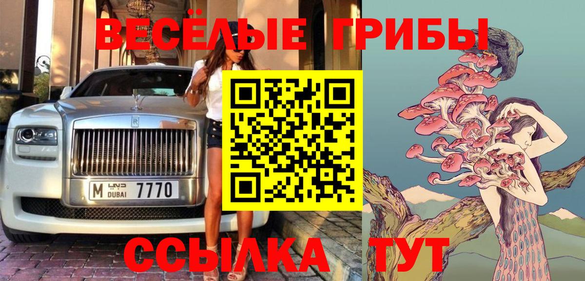 Домодедово  Псилоцибиновые грибы Cubensis  Вход с VPN 